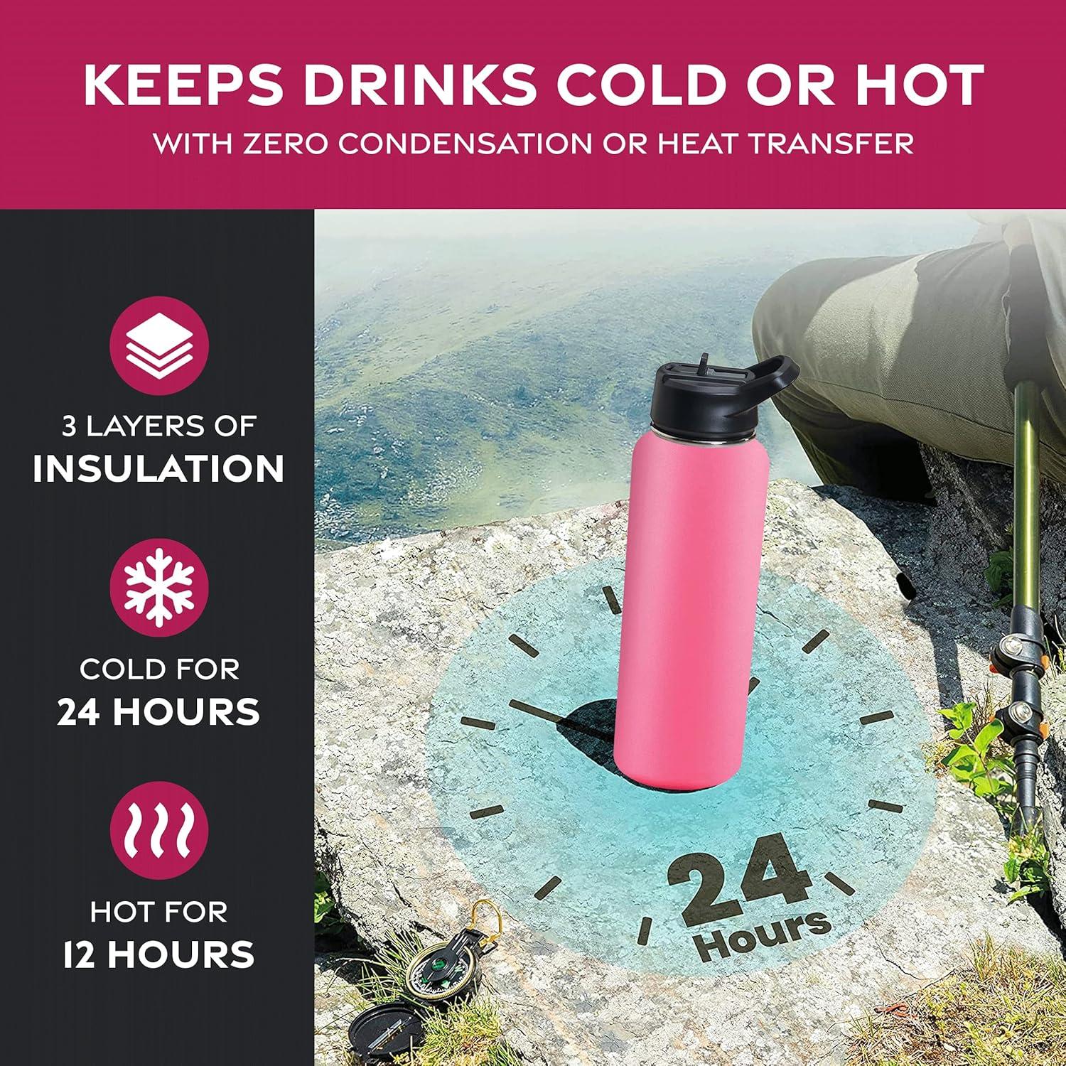 imageFineDine 25 Oz Insulated Water Bottle with Straw Triple Walled Stainless Steel Metal Bottle W 3 Leak Proof Lids For Travel School Sports GymMen Women ampamp Kids Inky Raven BlackStriking French Rose