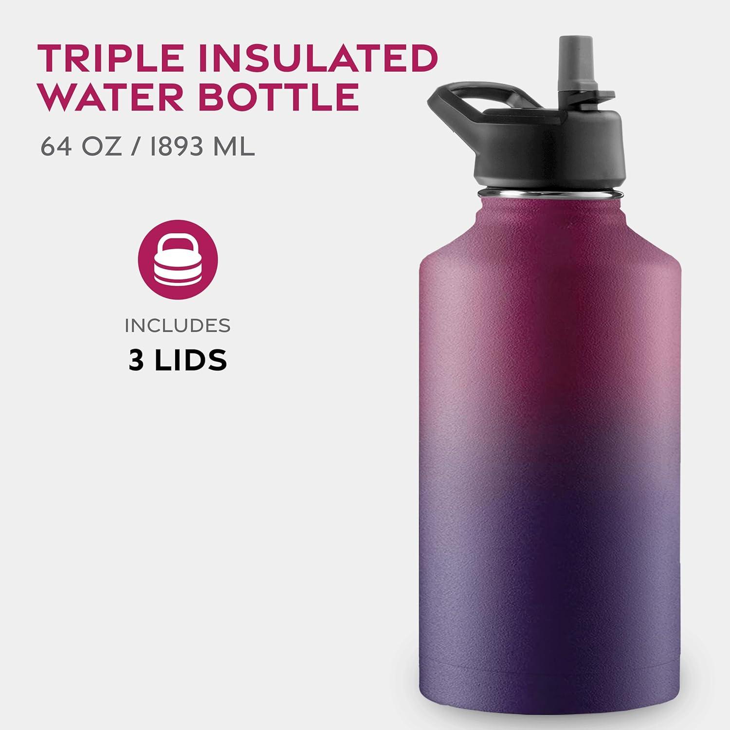imageFineDine 25 Oz Insulated Water Bottle with Straw Triple Walled Stainless Steel Metal Bottle W 3 Leak Proof Lids For Travel School Sports GymMen Women ampamp Kids Inky Raven BlackDreamy Purple