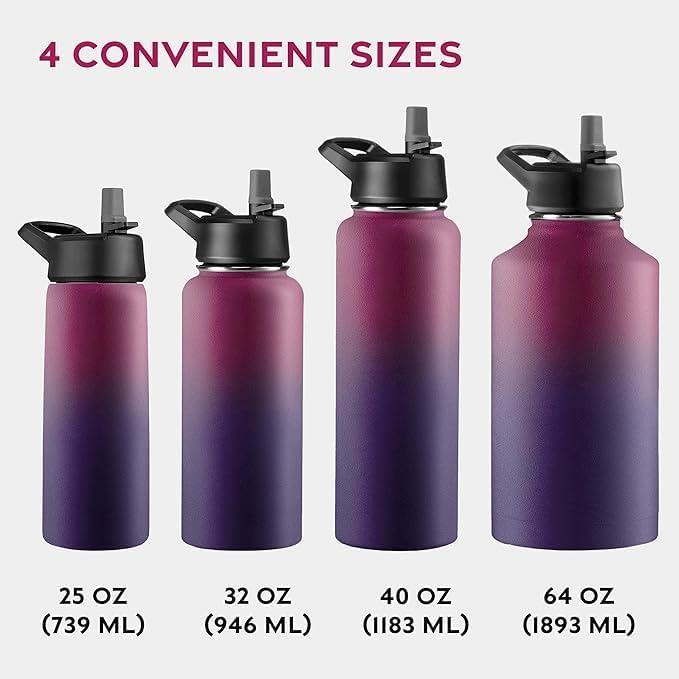imageFineDine 25 Oz Insulated Water Bottle with Straw Triple Walled Stainless Steel Metal Bottle W 3 Leak Proof Lids For Travel School Sports GymMen Women ampamp Kids Inky Raven BlackDreamy Purple
