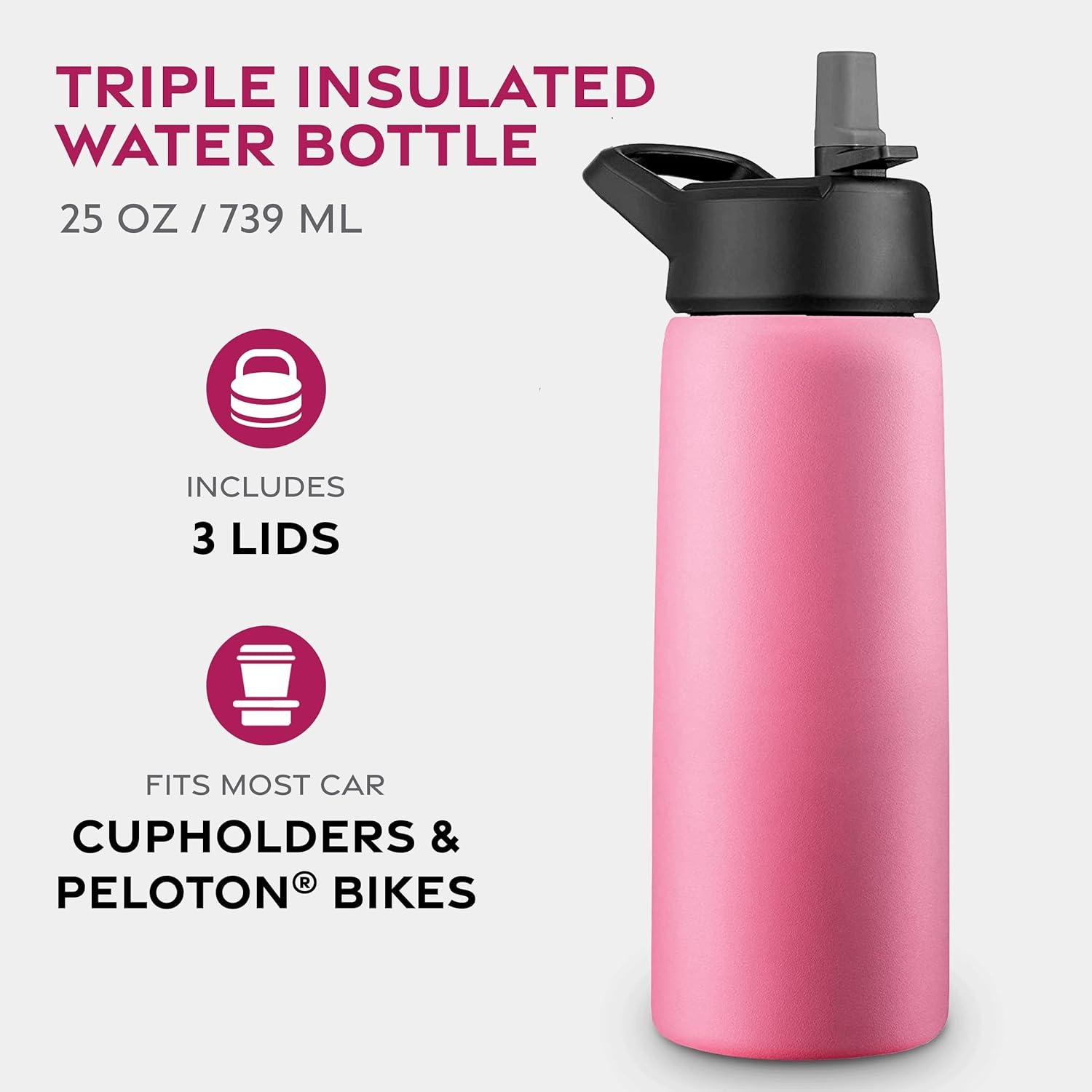 imageFineDine 25 Oz Insulated Water Bottle with Straw Triple Walled Stainless Steel Metal Bottle W 3 Leak Proof Lids For Travel School Sports GymMen Women ampamp Kids Inky Raven BlackStriking French Rose