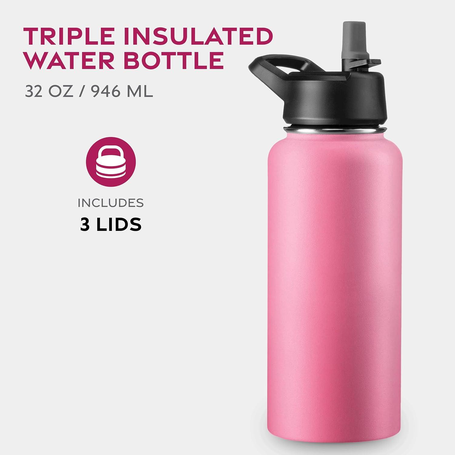 imageFineDine 25 Oz Insulated Water Bottle with Straw Triple Walled Stainless Steel Metal Bottle W 3 Leak Proof Lids For Travel School Sports GymMen Women ampamp Kids Inky Raven BlackStriking French Rose