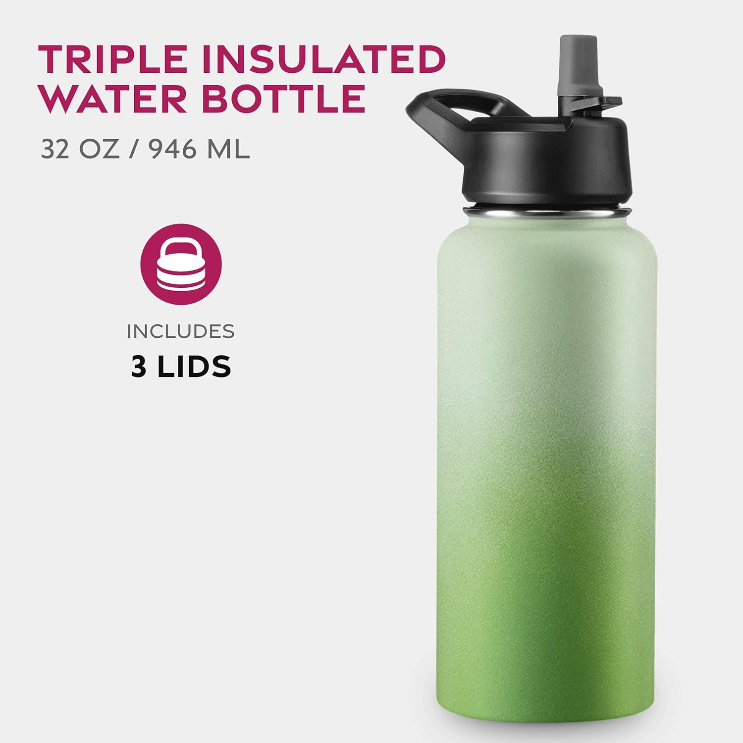 imageFineDine 25 Oz Insulated Water Bottle with Straw Triple Walled Stainless Steel Metal Bottle W 3 Leak Proof Lids For Travel School Sports GymMen Women ampamp Kids Inky Raven BlackDreamy Green