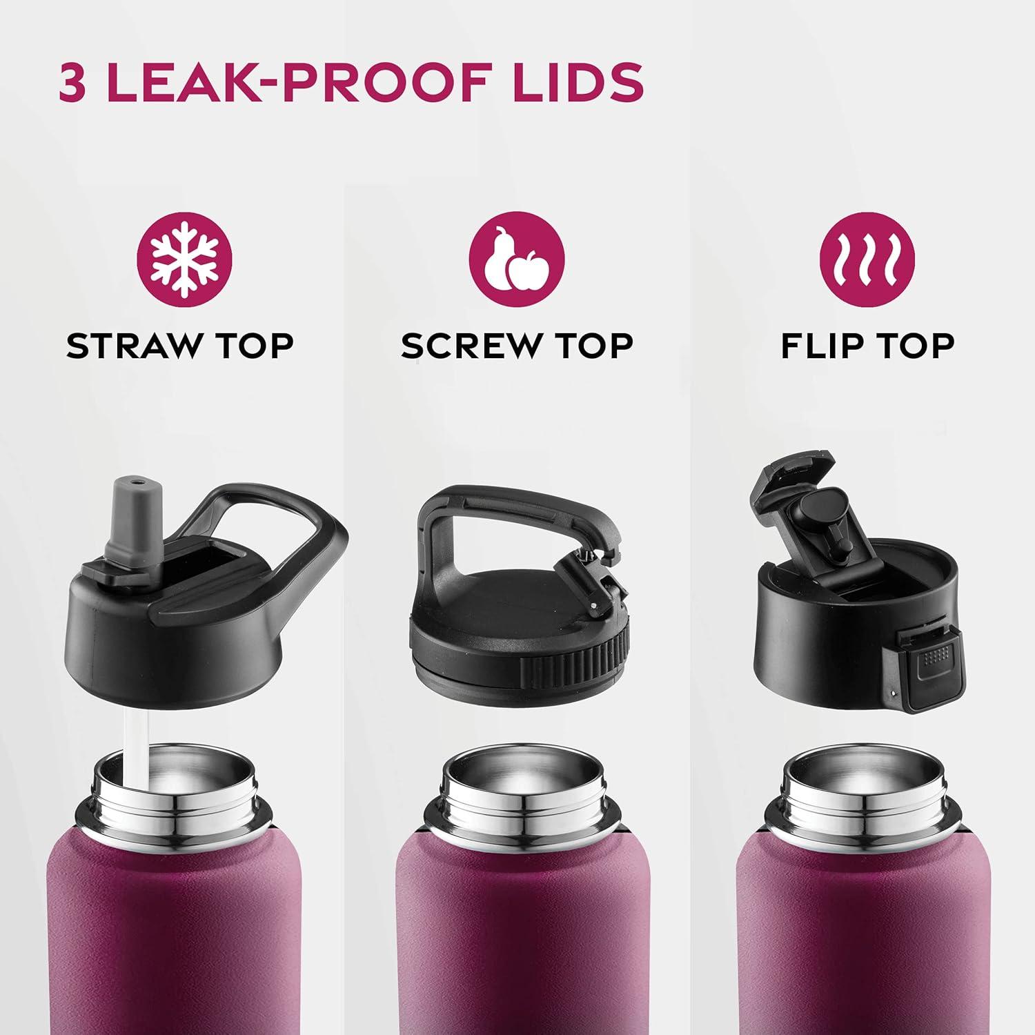 imageFineDine 25 Oz Insulated Water Bottle with Straw Triple Walled Stainless Steel Metal Bottle W 3 Leak Proof Lids For Travel School Sports GymMen Women ampamp Kids Inky Raven BlackDreamy Purple