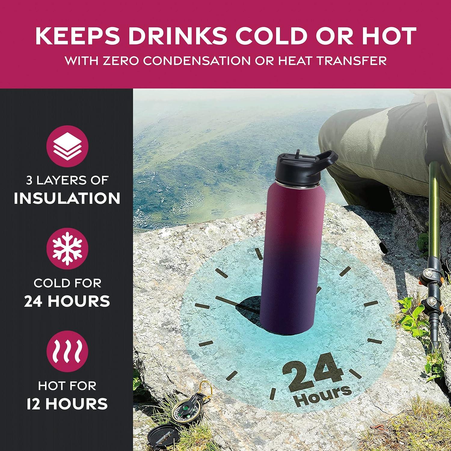 imageFineDine 25 Oz Insulated Water Bottle with Straw Triple Walled Stainless Steel Metal Bottle W 3 Leak Proof Lids For Travel School Sports GymMen Women ampamp Kids Inky Raven BlackDreamy Purple
