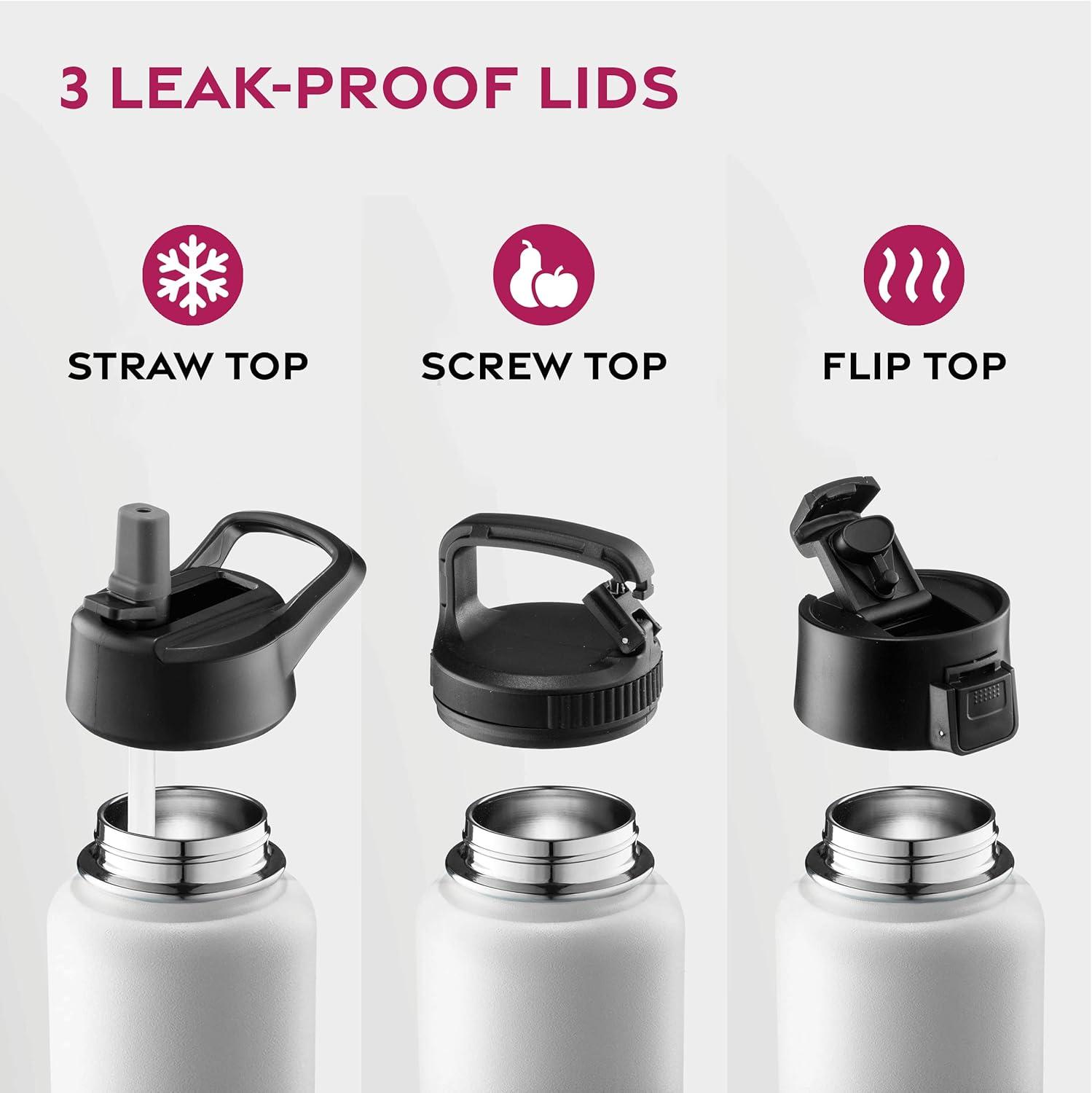 imageFineDine 25 Oz Insulated Water Bottle with Straw Triple Walled Stainless Steel Metal Bottle W 3 Leak Proof Lids For Travel School Sports GymMen Women ampamp Kids Inky Raven BlackDreamy BlackWhite