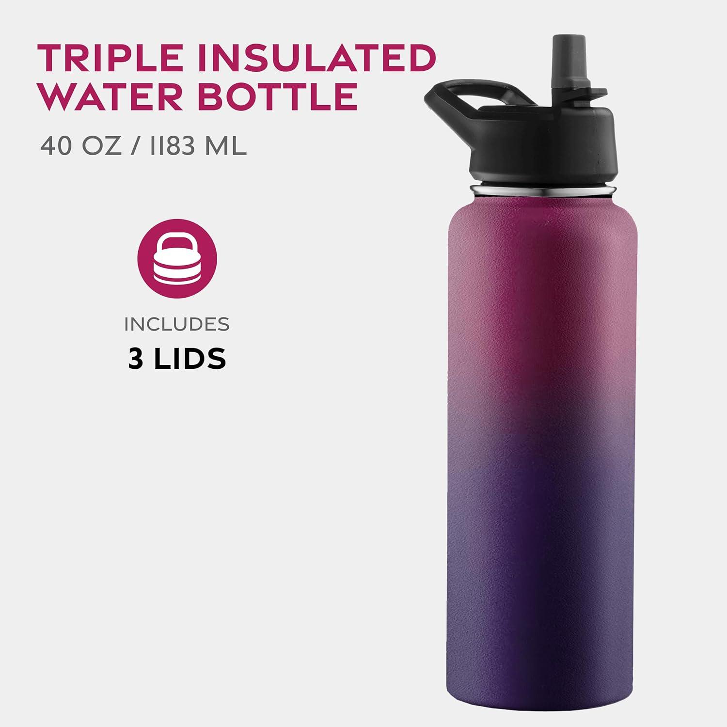 imageFineDine 25 Oz Insulated Water Bottle with Straw Triple Walled Stainless Steel Metal Bottle W 3 Leak Proof Lids For Travel School Sports GymMen Women ampamp Kids Inky Raven BlackDreamy Purple