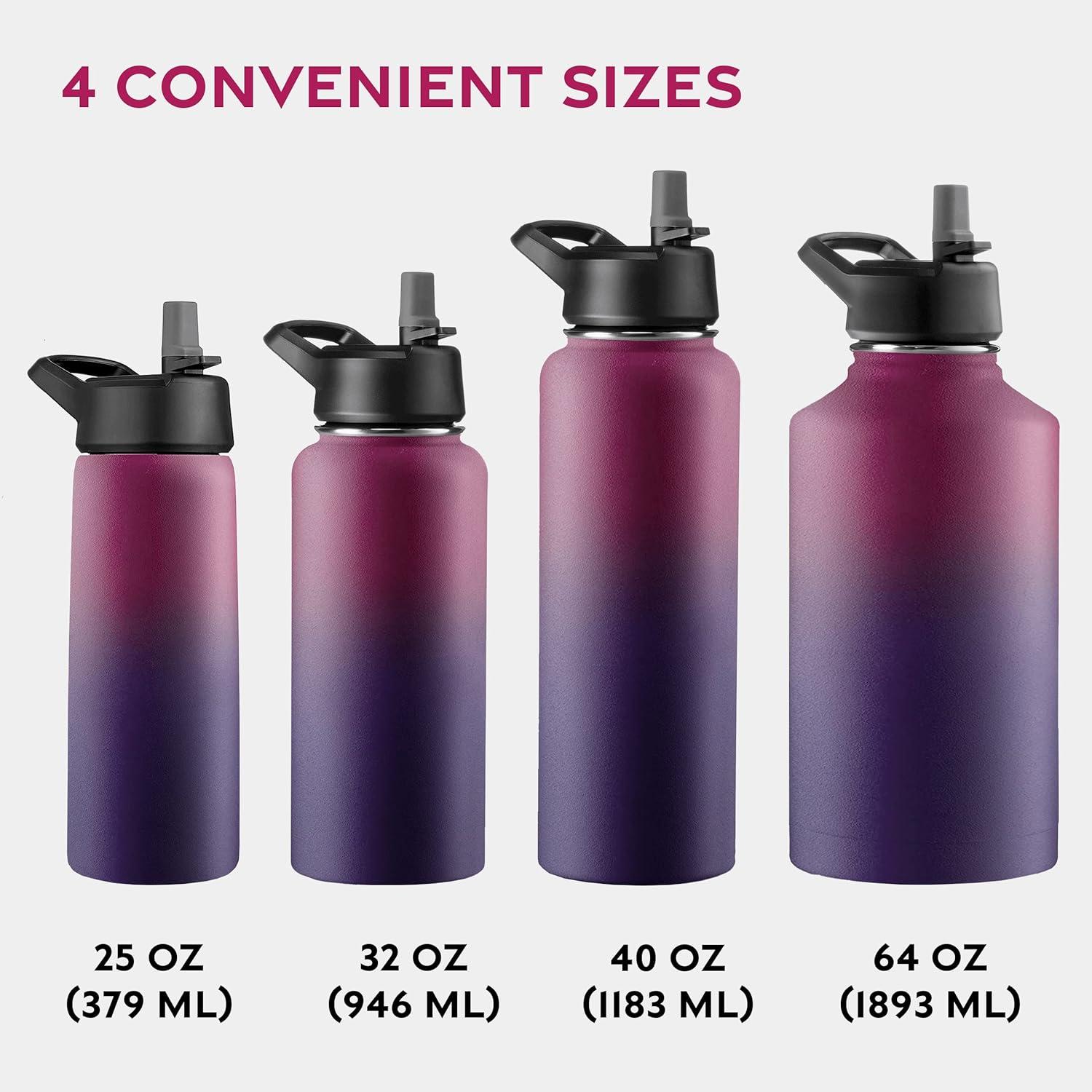 imageFineDine 25 Oz Insulated Water Bottle with Straw Triple Walled Stainless Steel Metal Bottle W 3 Leak Proof Lids For Travel School Sports GymMen Women ampamp Kids Inky Raven BlackDreamy Purple