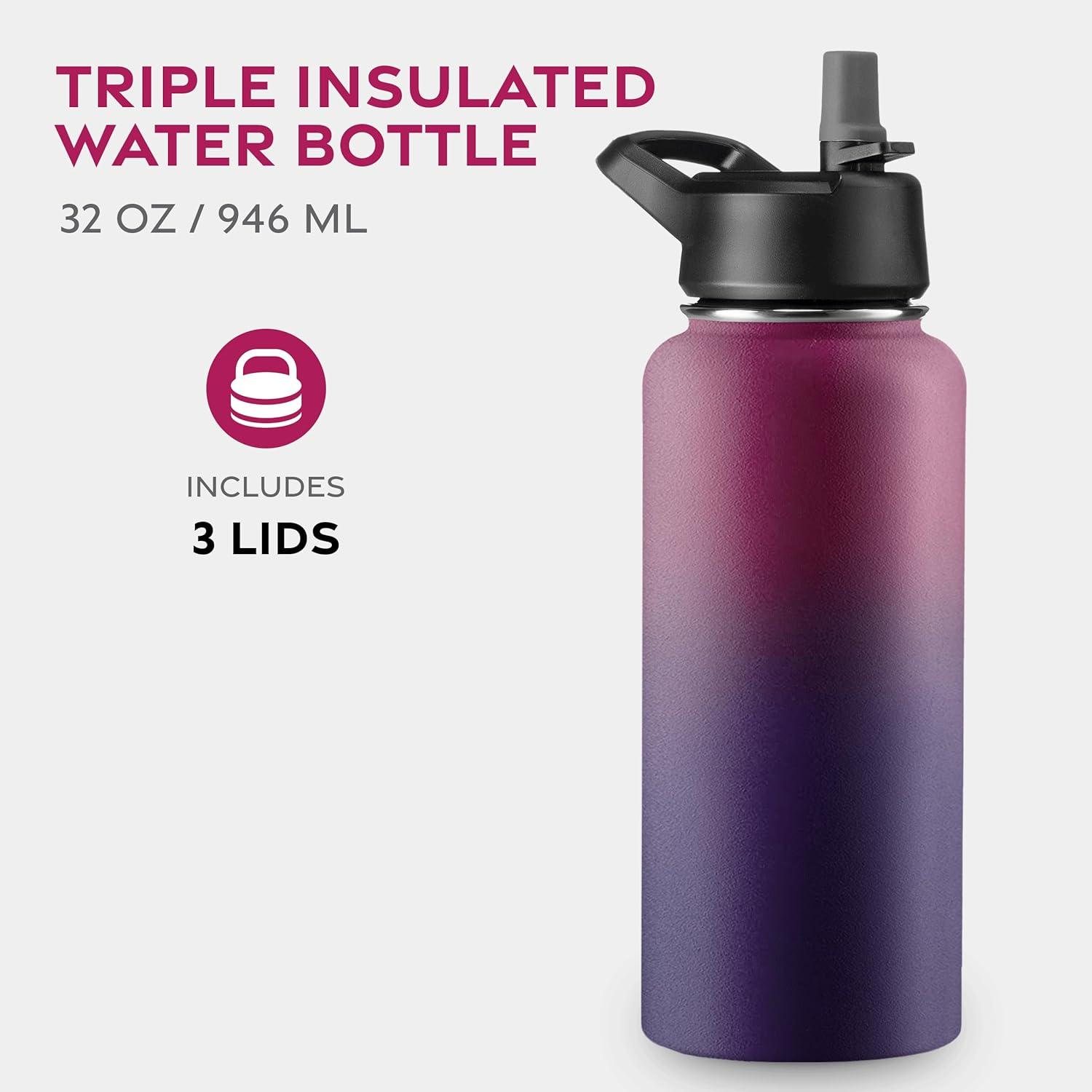 imageFineDine 25 Oz Insulated Water Bottle with Straw Triple Walled Stainless Steel Metal Bottle W 3 Leak Proof Lids For Travel School Sports GymMen Women ampamp Kids Inky Raven BlackDreamy Purple