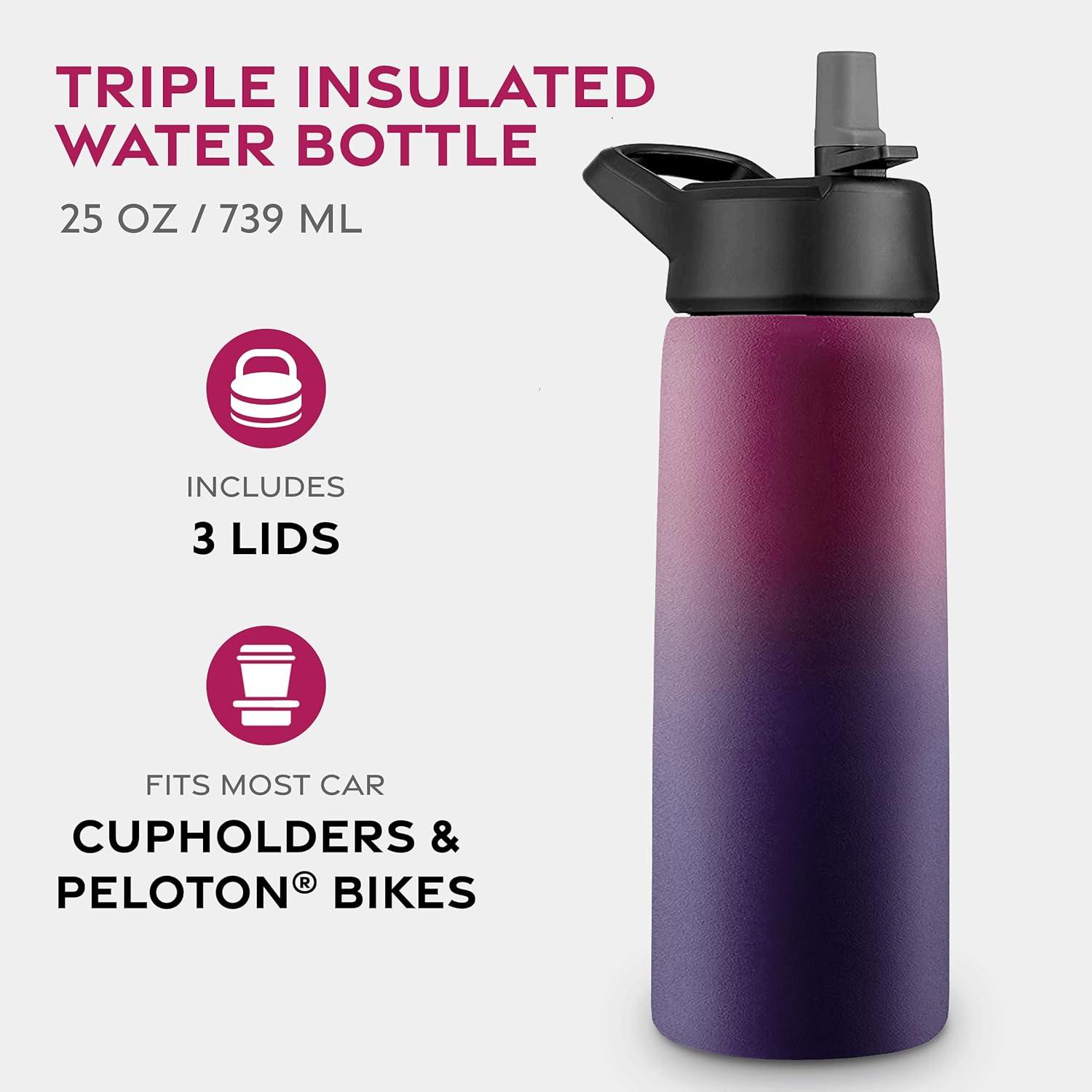 imageFineDine 25 Oz Insulated Water Bottle with Straw Triple Walled Stainless Steel Metal Bottle W 3 Leak Proof Lids For Travel School Sports GymMen Women ampamp Kids Inky Raven BlackDreamy Purple
