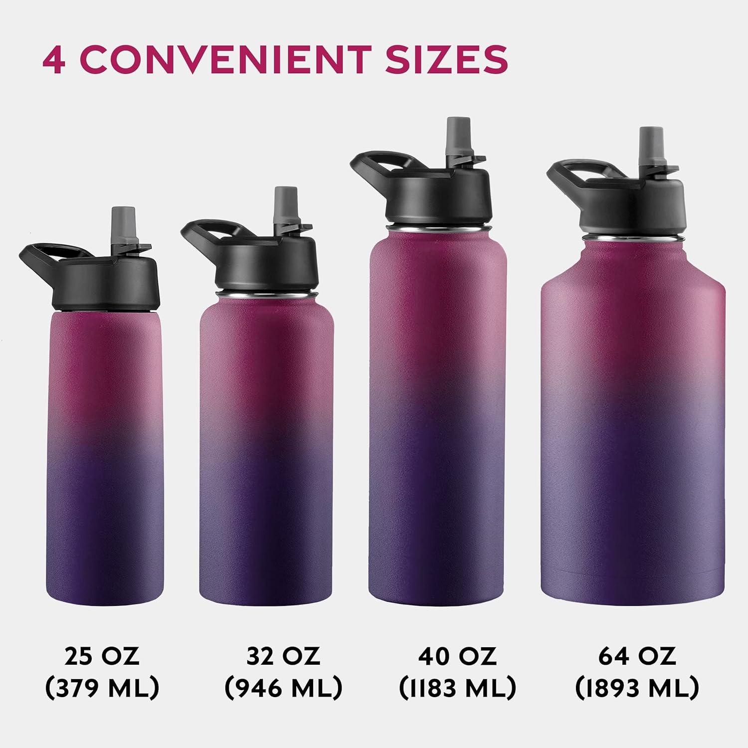 imageFineDine 25 Oz Insulated Water Bottle with Straw Triple Walled Stainless Steel Metal Bottle W 3 Leak Proof Lids For Travel School Sports GymMen Women ampamp Kids Inky Raven BlackDreamy Purple