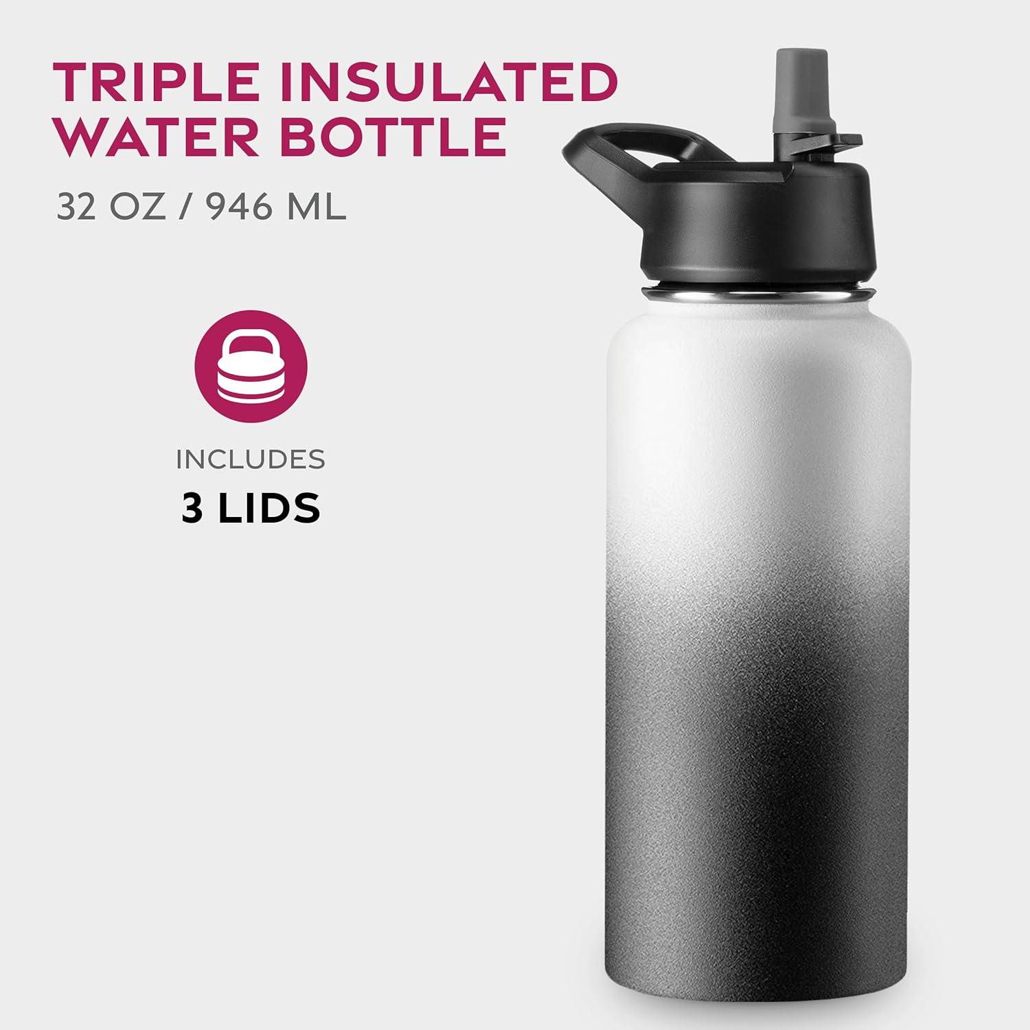 imageFineDine 25 Oz Insulated Water Bottle with Straw Triple Walled Stainless Steel Metal Bottle W 3 Leak Proof Lids For Travel School Sports GymMen Women ampamp Kids Inky Raven BlackDreamy BlackWhite