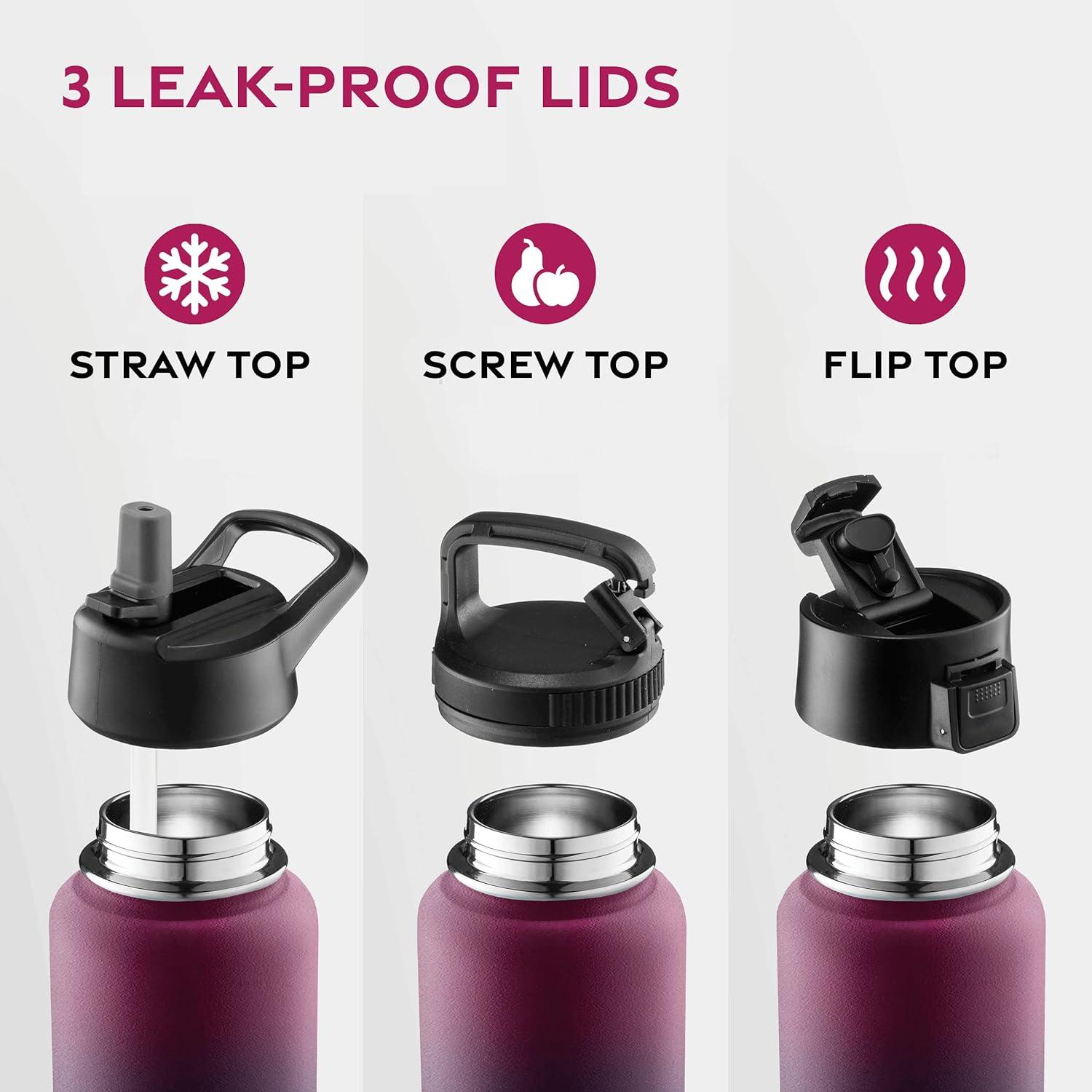 imageFineDine 25 Oz Insulated Water Bottle with Straw Triple Walled Stainless Steel Metal Bottle W 3 Leak Proof Lids For Travel School Sports GymMen Women ampamp Kids Inky Raven BlackDreamy Purple