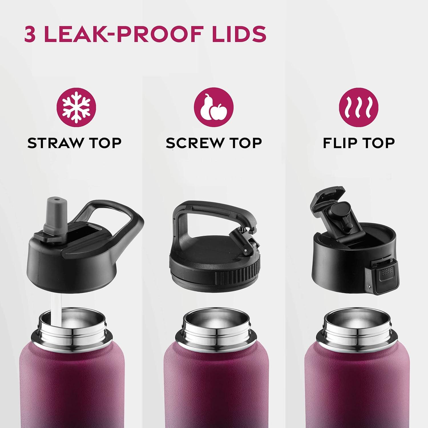 imageFineDine 25 Oz Insulated Water Bottle with Straw Triple Walled Stainless Steel Metal Bottle W 3 Leak Proof Lids For Travel School Sports GymMen Women ampamp Kids Inky Raven BlackDreamy Purple