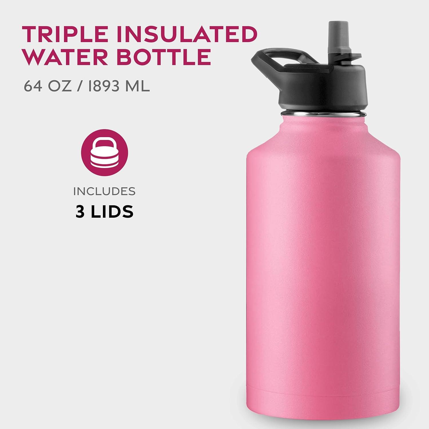 imageFineDine 25 Oz Insulated Water Bottle with Straw Triple Walled Stainless Steel Metal Bottle W 3 Leak Proof Lids For Travel School Sports GymMen Women ampamp Kids Inky Raven BlackStriking French Rose