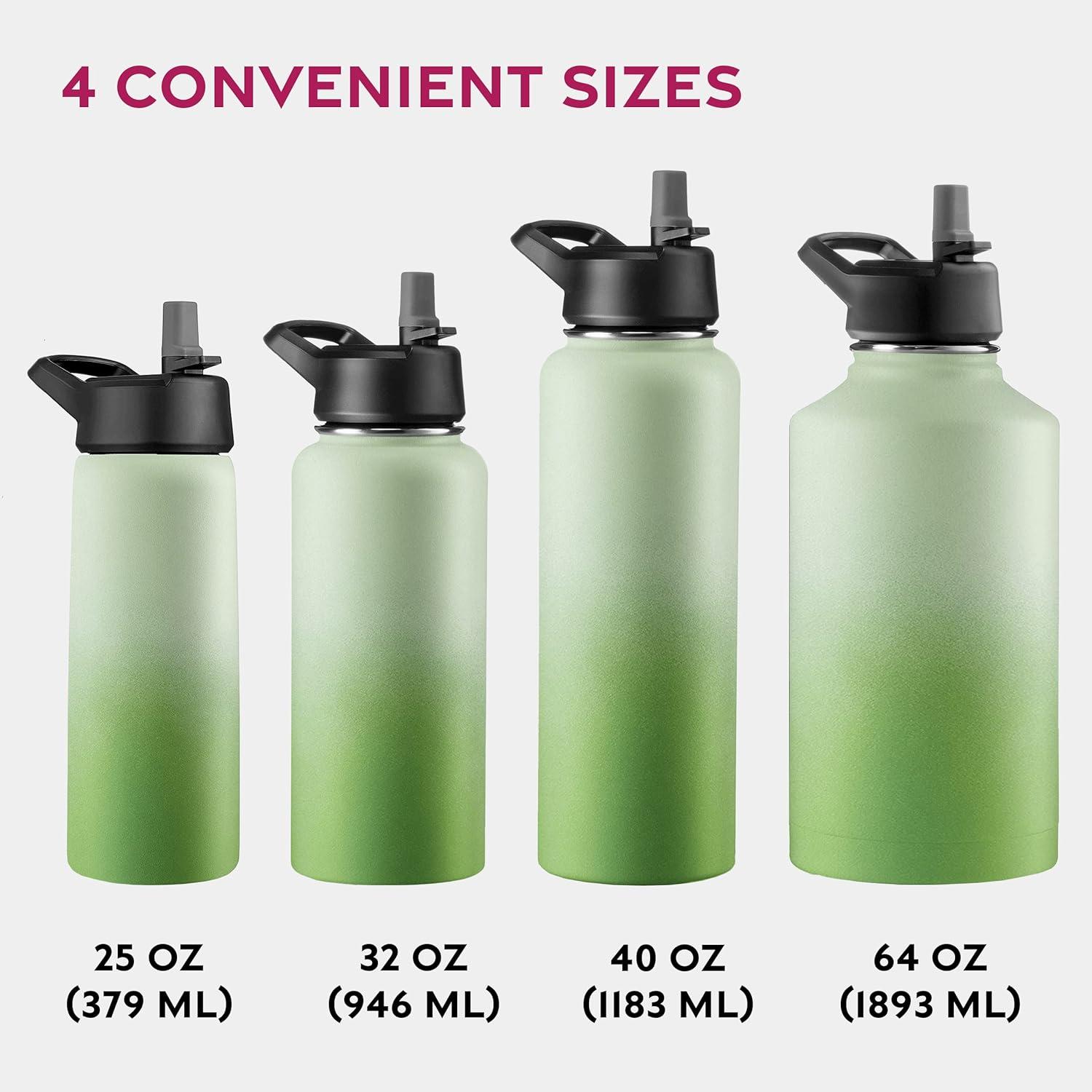imageFineDine 25 Oz Insulated Water Bottle with Straw Triple Walled Stainless Steel Metal Bottle W 3 Leak Proof Lids For Travel School Sports GymMen Women ampamp Kids Inky Raven BlackDreamy Green