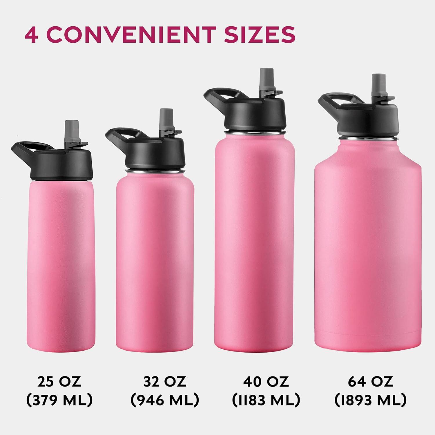 imageFineDine 25 Oz Insulated Water Bottle with Straw Triple Walled Stainless Steel Metal Bottle W 3 Leak Proof Lids For Travel School Sports GymMen Women ampamp Kids Inky Raven BlackStriking French Rose