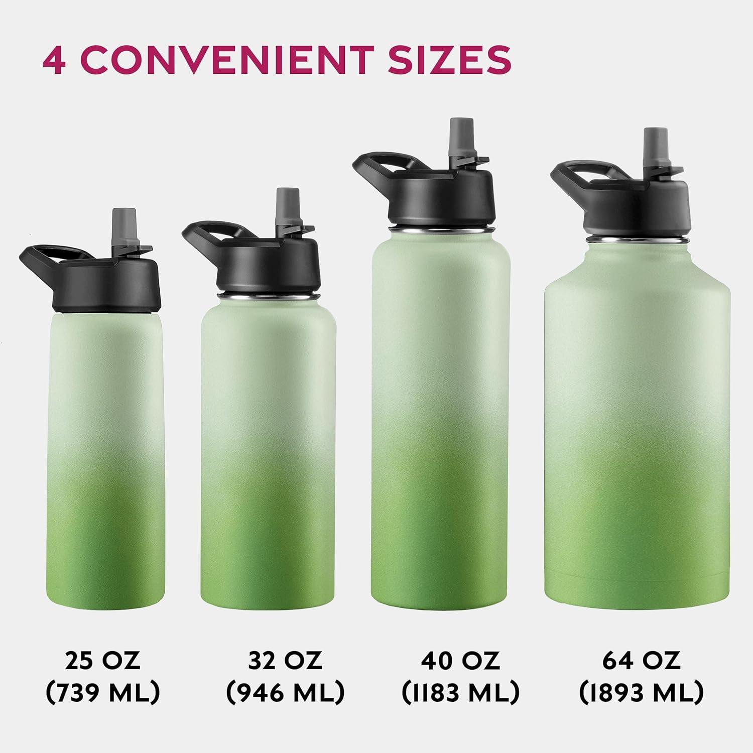imageFineDine 25 Oz Insulated Water Bottle with Straw Triple Walled Stainless Steel Metal Bottle W 3 Leak Proof Lids For Travel School Sports GymMen Women ampamp Kids Inky Raven BlackDreamy Green