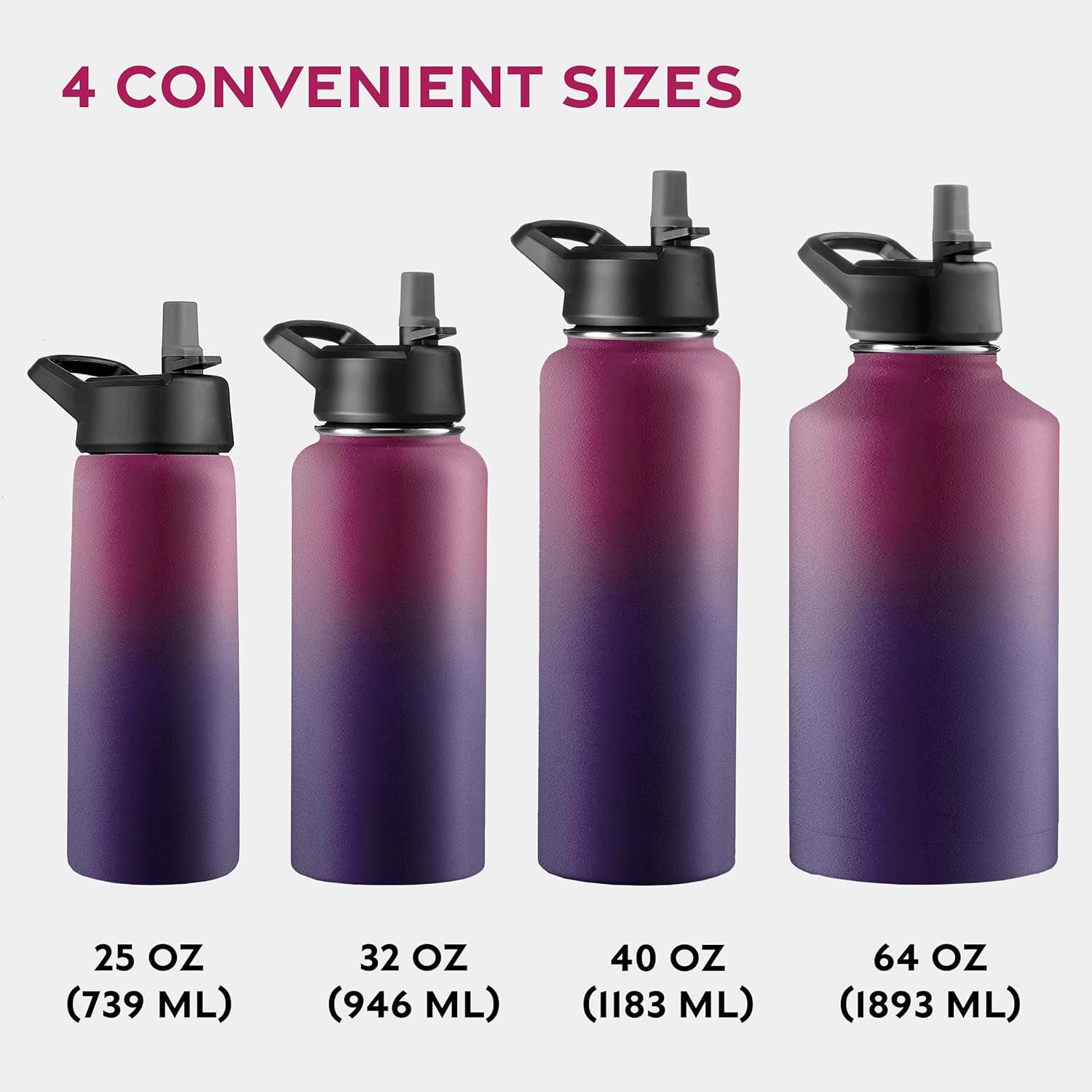 imageFineDine 25 Oz Insulated Water Bottle with Straw Triple Walled Stainless Steel Metal Bottle W 3 Leak Proof Lids For Travel School Sports GymMen Women ampamp Kids Inky Raven BlackDreamy Purple