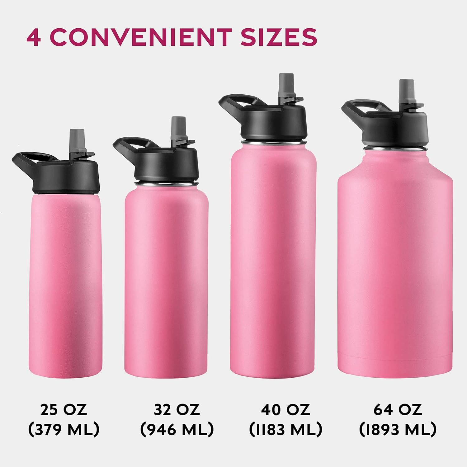 imageFineDine 25 Oz Insulated Water Bottle with Straw Triple Walled Stainless Steel Metal Bottle W 3 Leak Proof Lids For Travel School Sports GymMen Women ampamp Kids Inky Raven BlackStriking French Rose