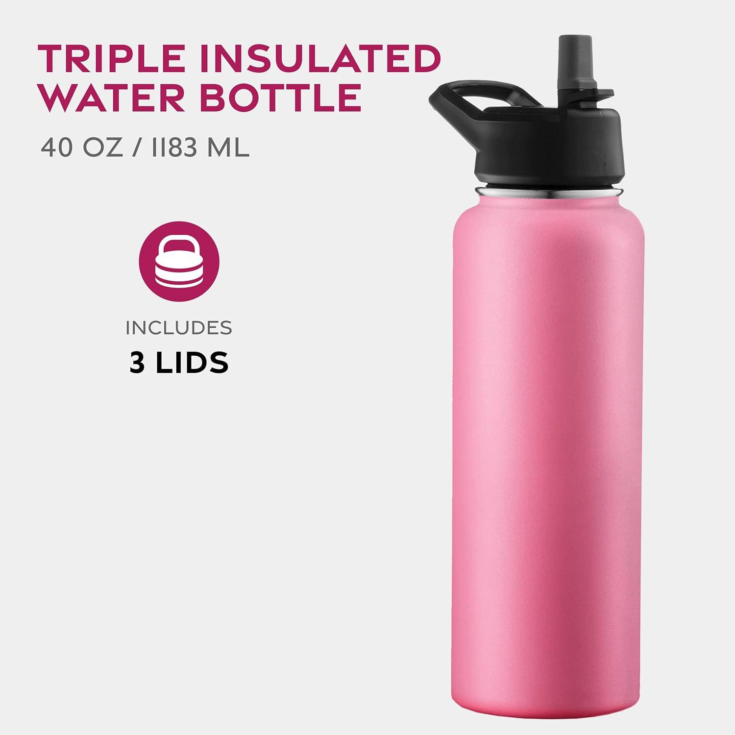 imageFineDine 25 Oz Insulated Water Bottle with Straw Triple Walled Stainless Steel Metal Bottle W 3 Leak Proof Lids For Travel School Sports GymMen Women ampamp Kids Inky Raven BlackStriking French Rose