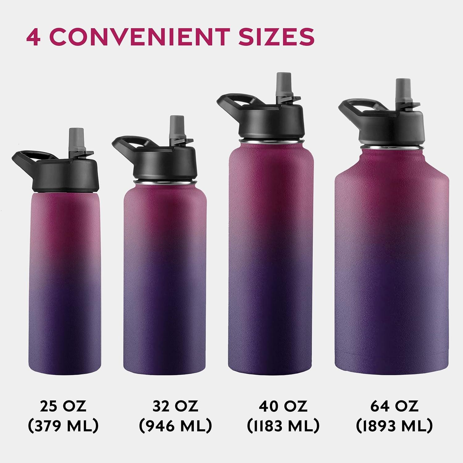 imageFineDine 25 Oz Insulated Water Bottle with Straw Triple Walled Stainless Steel Metal Bottle W 3 Leak Proof Lids For Travel School Sports GymMen Women ampamp Kids Inky Raven BlackDreamy Purple