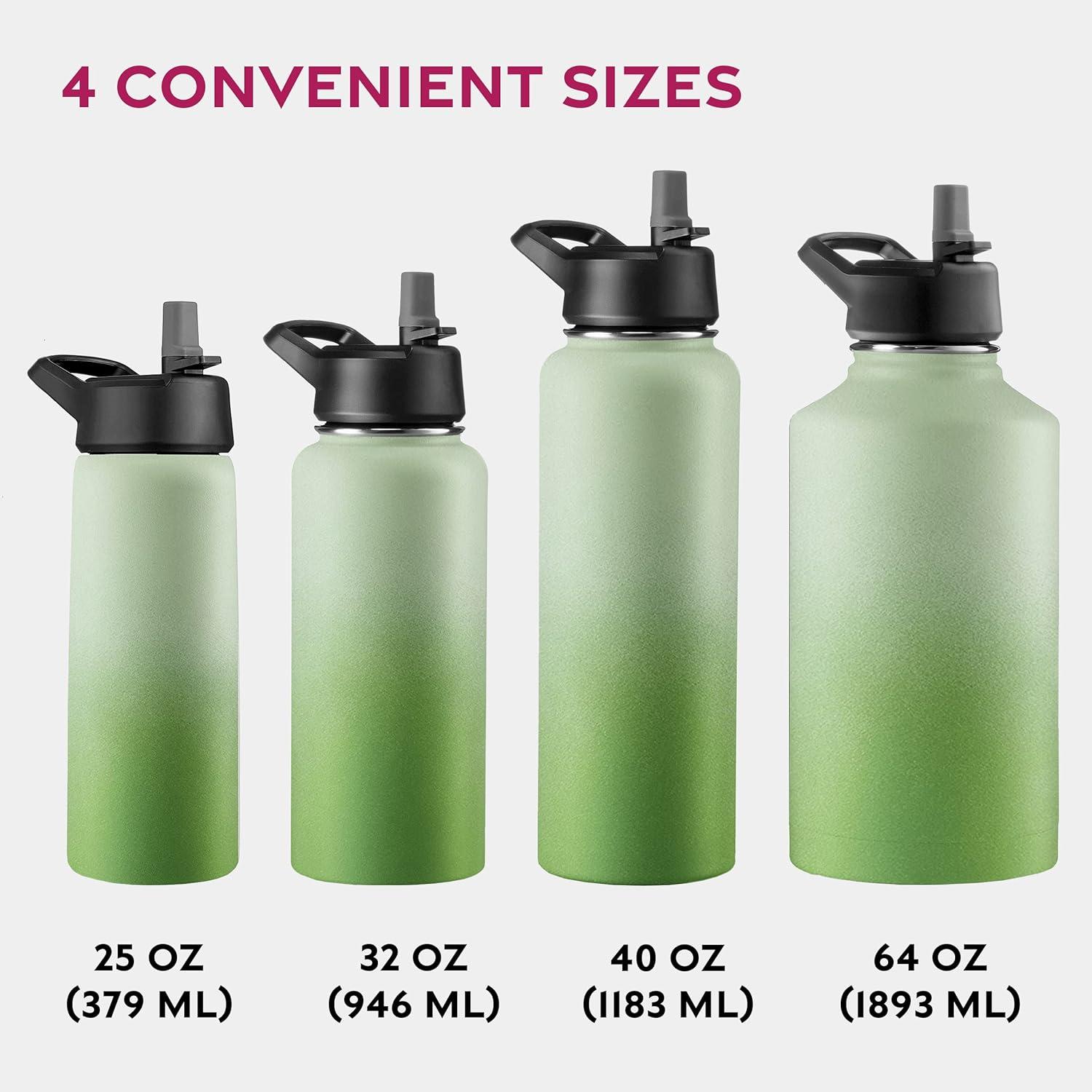 imageFineDine 25 Oz Insulated Water Bottle with Straw Triple Walled Stainless Steel Metal Bottle W 3 Leak Proof Lids For Travel School Sports GymMen Women ampamp Kids Inky Raven BlackDreamy Green