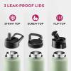 FineDine 25 Oz Insulated Water Bottle with Straw – Triple Walled Stainless Steel Metal Bottle W/ 3 Leak Proof Lids – For Travel, School, Sports, Gym/Men, Women & Kids – Inky Raven Black(Dreamy Green)