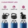 FineDine 25 Oz Insulated Water Bottle with Straw – Triple Walled Stainless Steel Metal Bottle W/ 3 Leak Proof Lids – For Travel, School, Sports, Gym/Men, Women & Kids – Inky Raven Black(Majestic Sapphire)