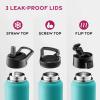 FineDine 25 Oz Insulated Water Bottle with Straw – Triple Walled Stainless Steel Metal Bottle W/ 3 Leak Proof Lids – For Travel, School, Sports, Gym/Men, Women & Kids – Inky Raven Black(Cheery Turquoise)