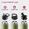 FineDine 25 Oz Insulated Water Bottle with Straw – Triple Walled Stainless Steel Metal Bottle W/ 3 Leak Proof Lids – For Travel, School, Sports, Gym/Men, Women & Kids – Inky Raven Black(Army Green)
