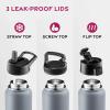 FineDine 25 Oz Insulated Water Bottle with Straw – Triple Walled Stainless Steel Metal Bottle W/ 3 Leak Proof Lids – For Travel, School, Sports, Gym/Men, Women & Kids – Inky Raven Black(Modern Lava Gray)