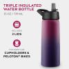 FineDine 25 Oz Insulated Water Bottle with Straw – Triple Walled Stainless Steel Metal Bottle W/ 3 Leak Proof Lids – For Travel, School, Sports, Gym/Men, Women & Kids – Inky Raven Black(Dreamy Purple)