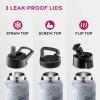 FineDine 25 Oz Insulated Water Bottle with Straw – Triple Walled Stainless Steel Metal Bottle W/ 3 Leak Proof Lids – For Travel, School, Sports, Gym/Men, Women & Kids – Inky Raven Black(Fresh White Marble)