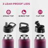 FineDine 25 Oz Insulated Water Bottle with Straw – Triple Walled Stainless Steel Metal Bottle W/ 3 Leak Proof Lids – For Travel, School, Sports, Gym/Men, Women & Kids – Inky Raven Black(Dreamy Purple)