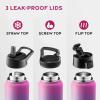 FineDine 25 Oz Insulated Water Bottle with Straw – Triple Walled Stainless Steel Metal Bottle W/ 3 Leak Proof Lids – For Travel, School, Sports, Gym/Men, Women & Kids – Inky Raven Black(Pacific Blue Rose Blend)