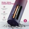 FineDine 25 Oz Insulated Water Bottle with Straw – Triple Walled Stainless Steel Metal Bottle W/ 3 Leak Proof Lids – For Travel, School, Sports, Gym/Men, Women & Kids – Inky Raven Black(Dreamy Purple)