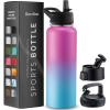 FineDine 25 Oz Insulated Water Bottle with Straw – Triple Walled Stainless Steel Metal Bottle W/ 3 Leak Proof Lids – For Travel, School, Sports, Gym/Men, Women & Kids – Inky Raven Black(Pacific Blue Rose Blend)