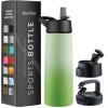 FineDine 25 Oz Insulated Water Bottle with Straw – Triple Walled Stainless Steel Metal Bottle W/ 3 Leak Proof Lids – For Travel, School, Sports, Gym/Men, Women & Kids – Inky Raven Black(Dreamy Green)